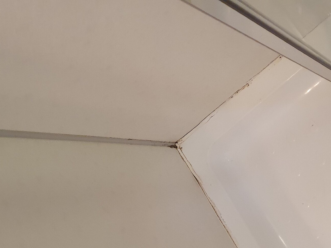 City Centre Guest House - Gloucester Park主图