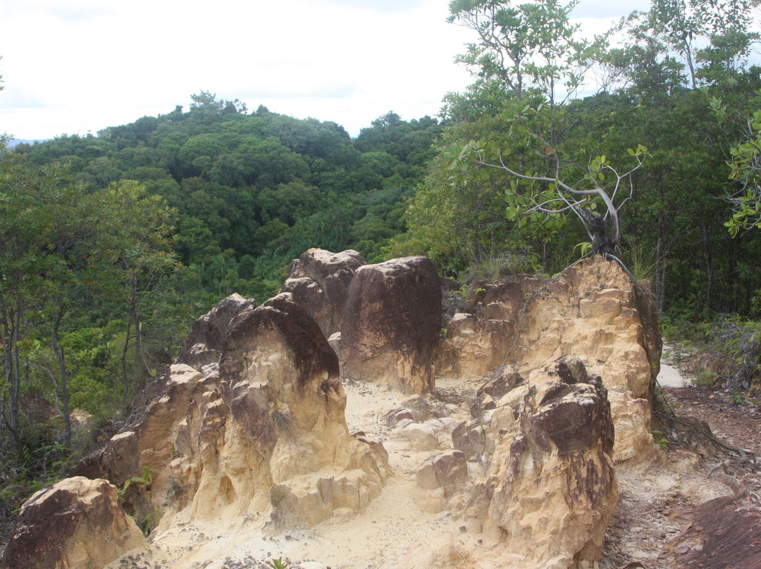 Bukit Shahbandar Forest Recreation Park-斯里巴加湾必去景点