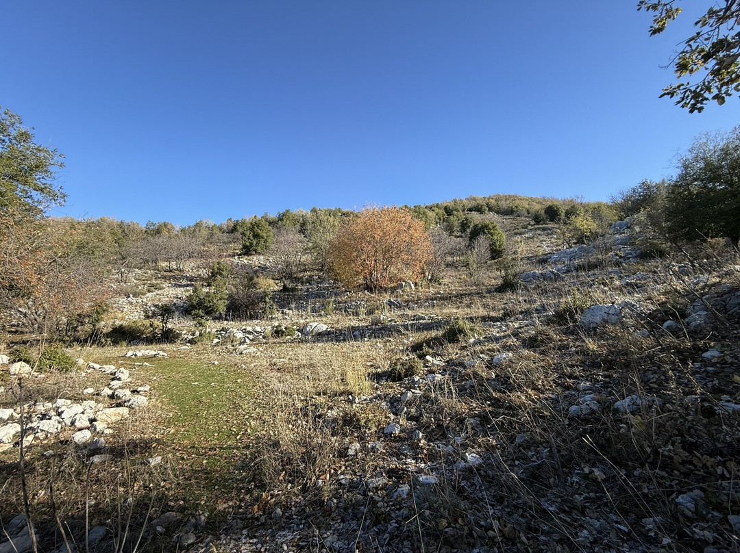 Jabal Moussa Biosphere Reserve景点图片
