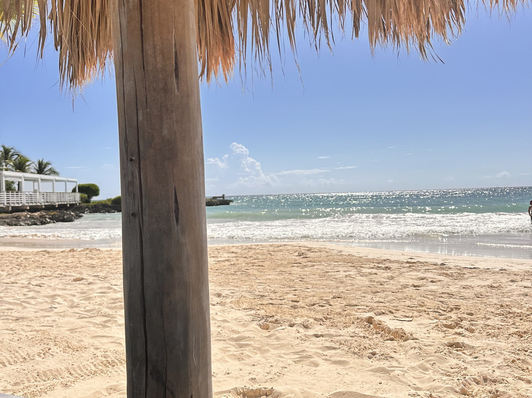 Eden Roc Beach Club-蓬塔卡纳必去景点