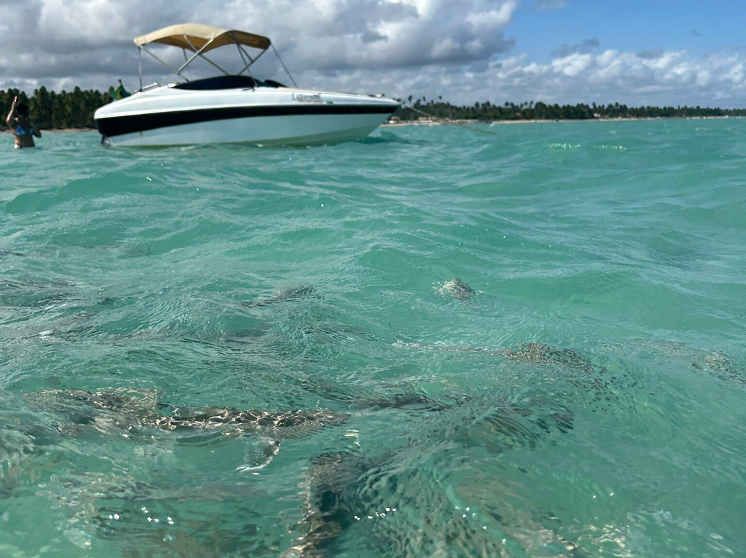 Piscinas Naturais De Japaratinga-Japaratinga必去景点