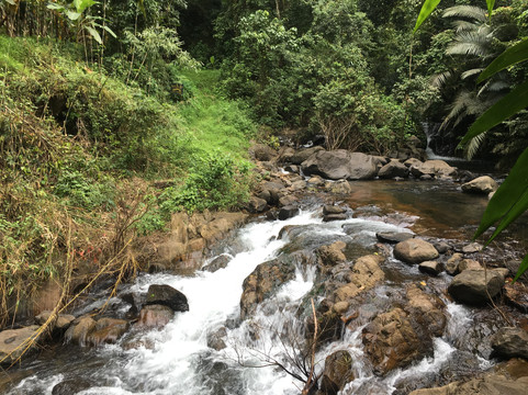 Kappimala-Alakode必去景点