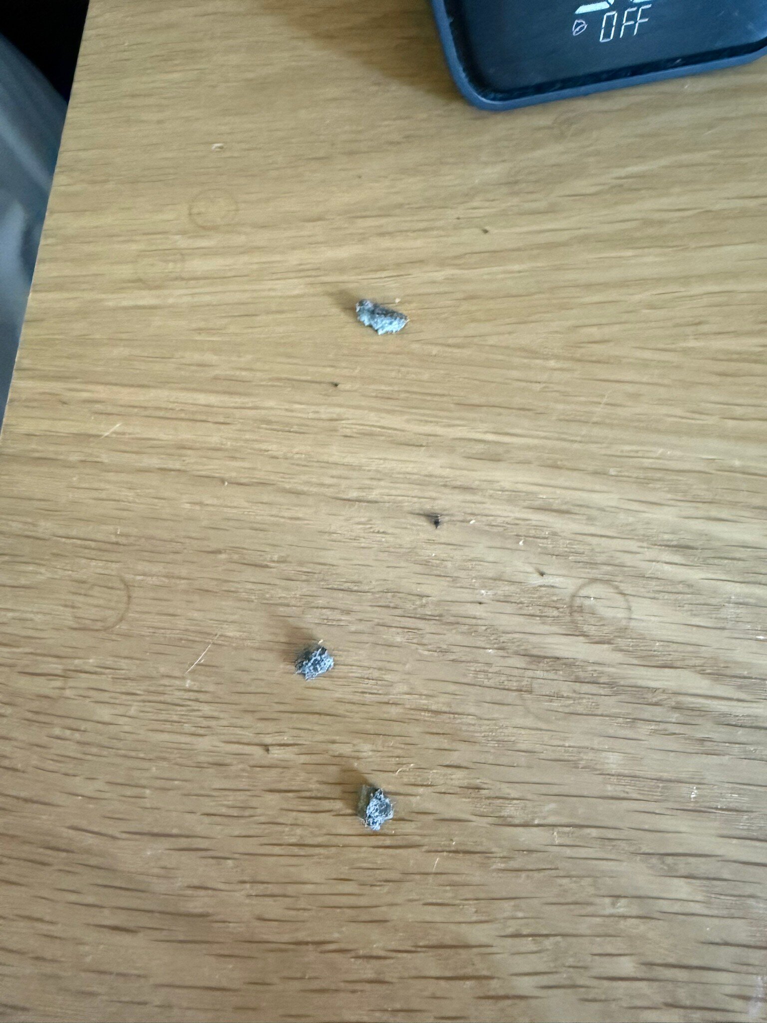 Hotel Cape Charles-官方