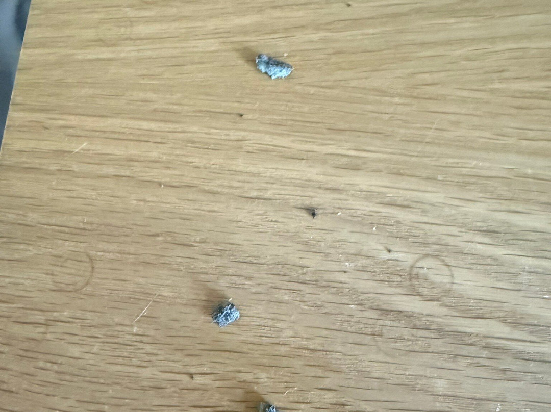 Hotel Cape Charles主图