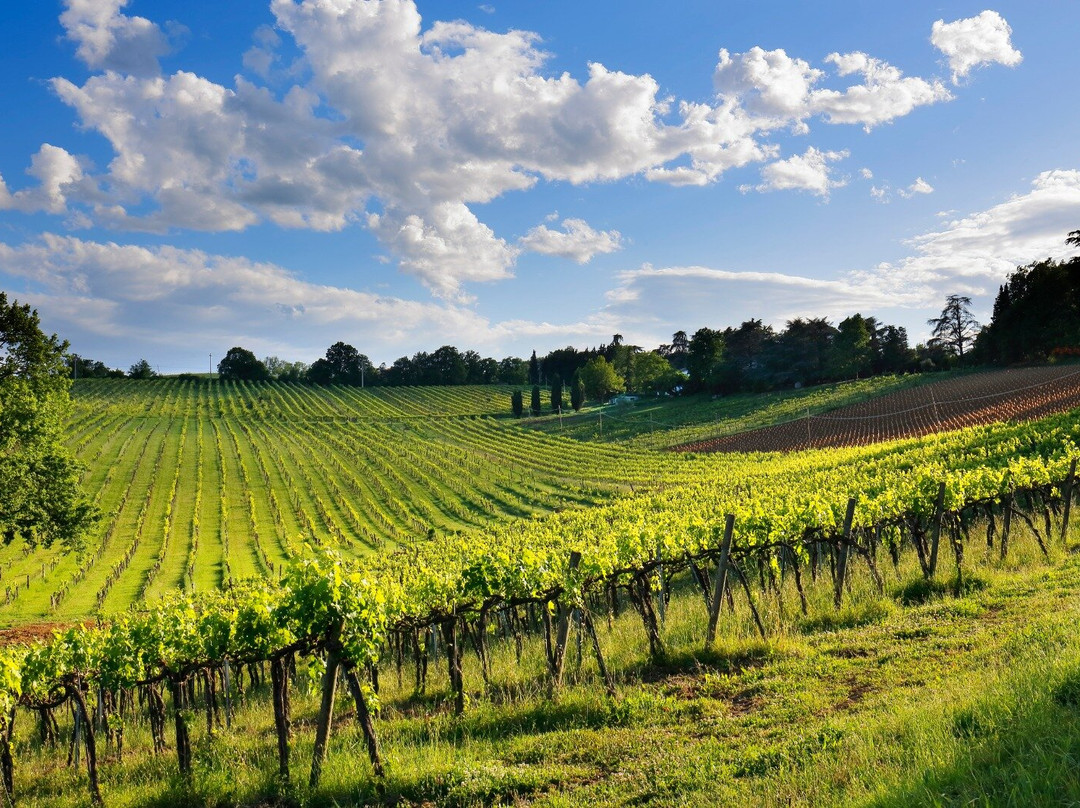 Cantina Terre Rosse Vallania - Colli Bolognesi-Zola Predosa必去景点