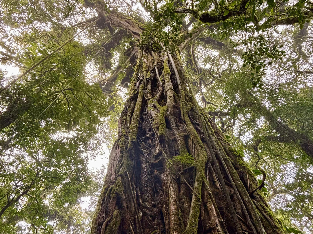 JC Nature Tour-蒙特维多云雾森林自然保护区必去景点