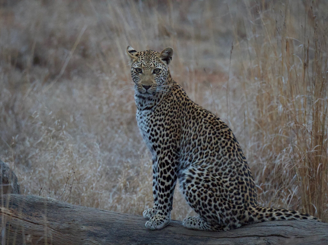 B1 Photo Safaris-雾观必去景点