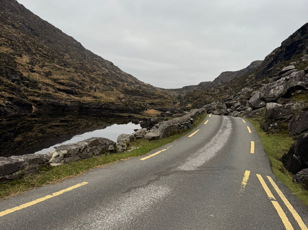 O’Sullivan’s Cycles-基拉尼必去景点