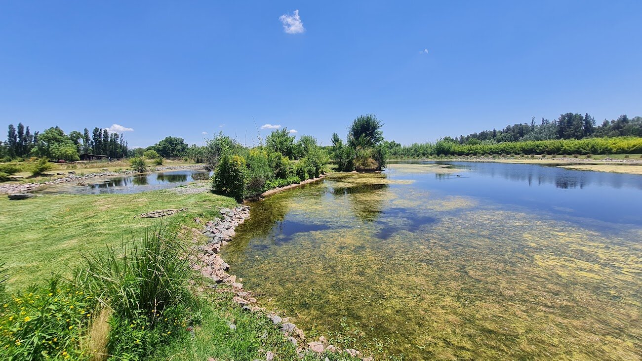Estancia La Cinacina-官方