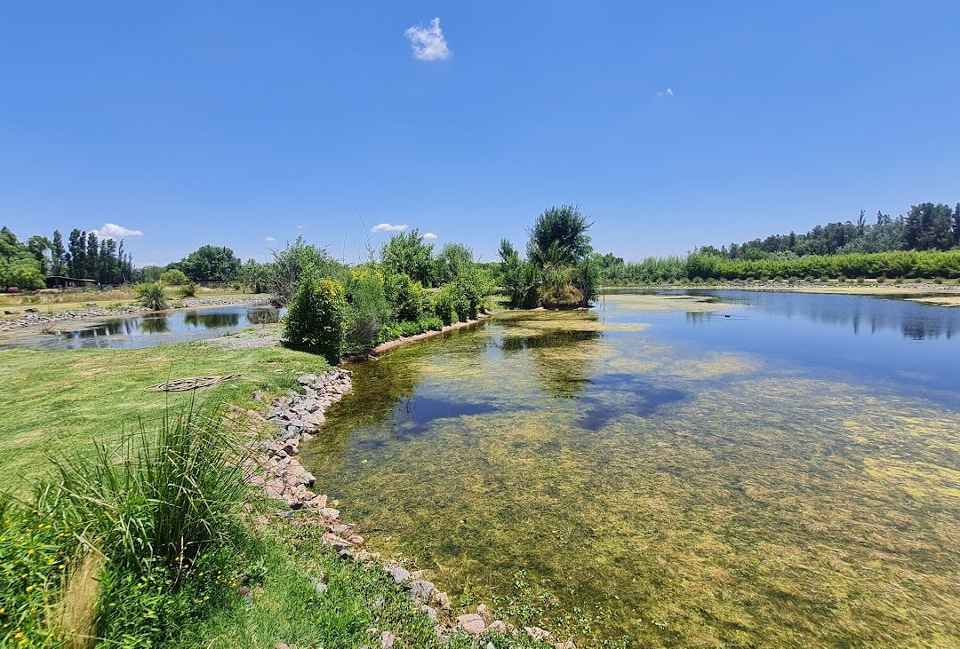 Estancia La Cinacina主图