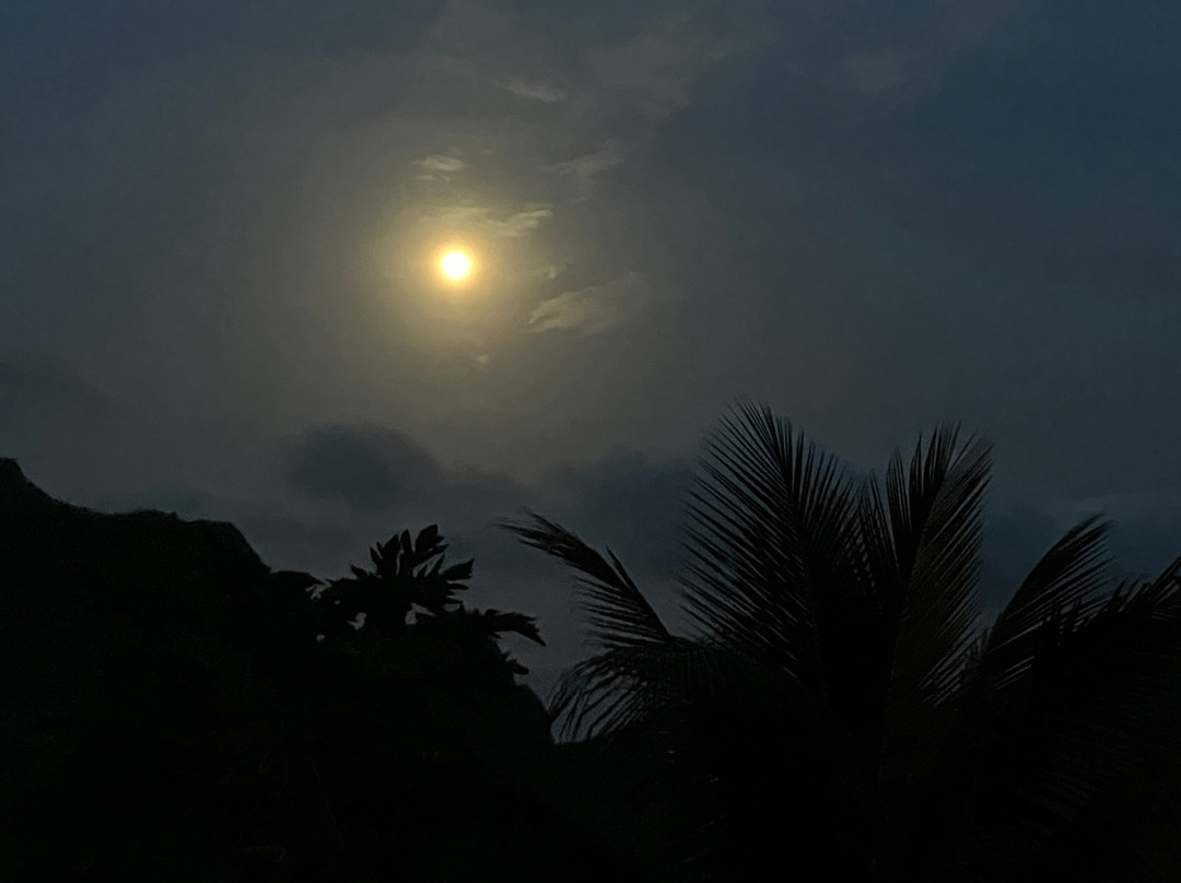 Casa das Ilhas主图