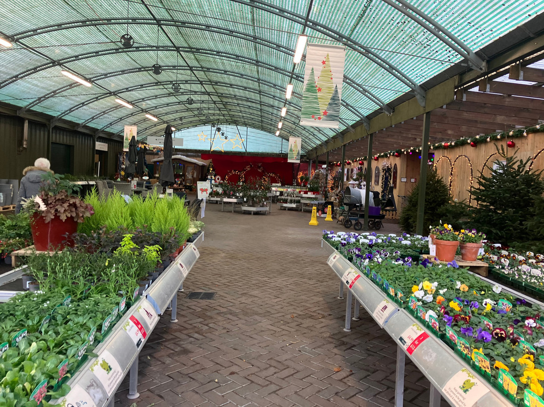 Millbrook Garden Centre景点图片