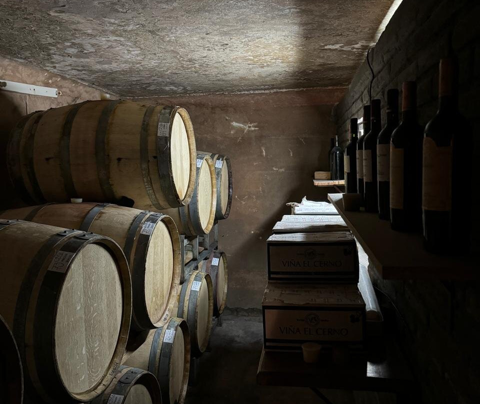 Bodega Artesanal Vina el Cerno-Maipu必去景点