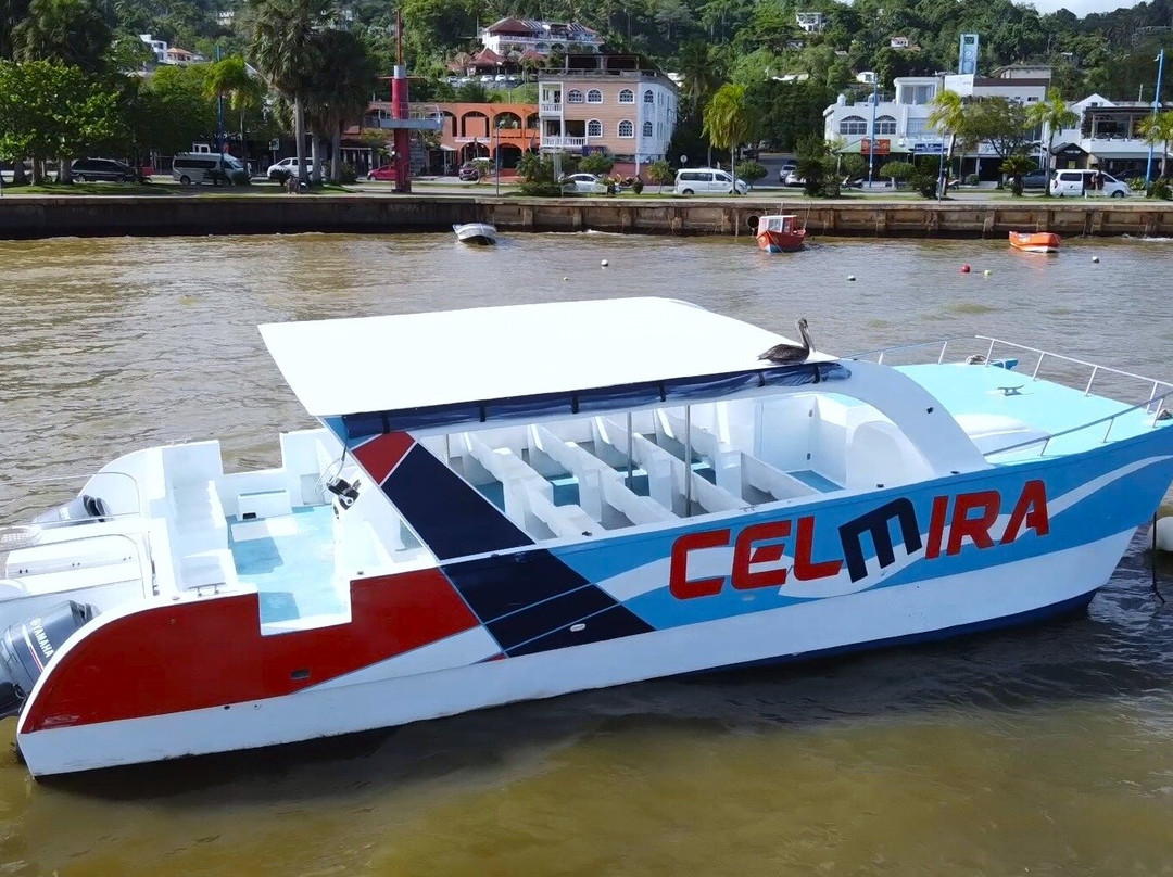 Celmira Boat Tour whale watching