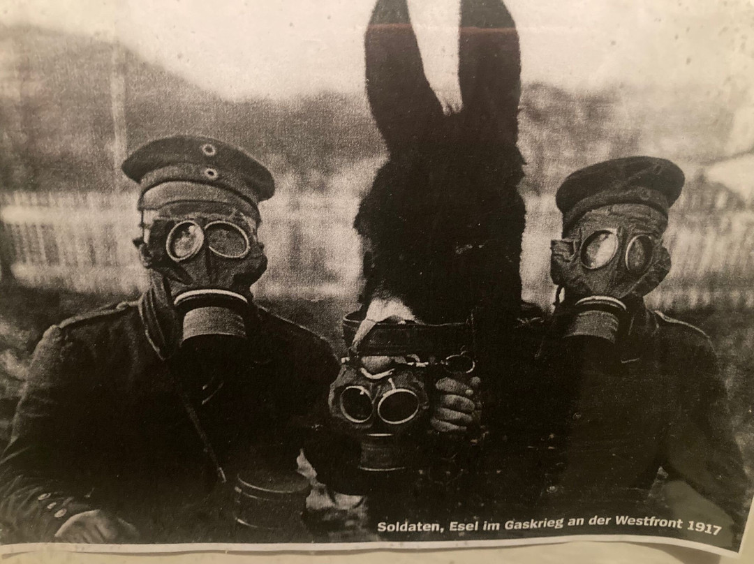 Bunker Museum Wilhelmshaven-威廉港必去景点