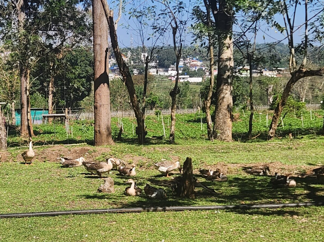 Bamboo Banks Farm Guest House主图