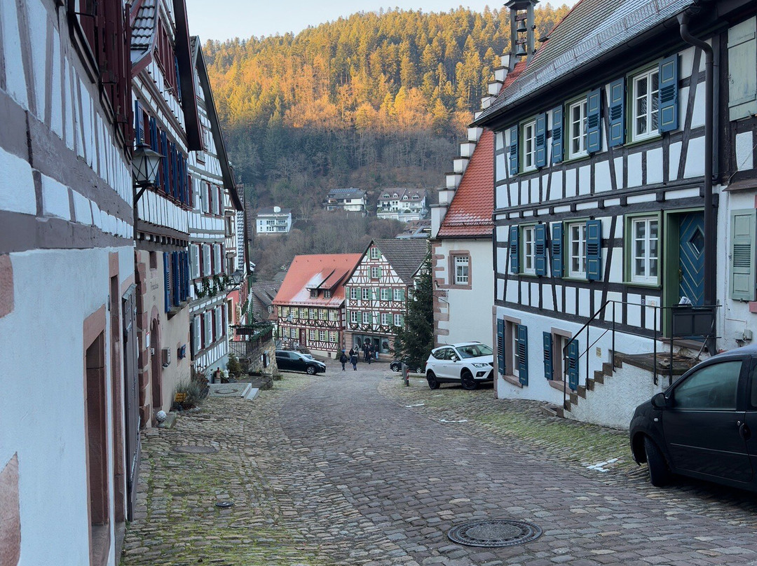 Adler Schiltach Boutique Hotel & Restaurant主图