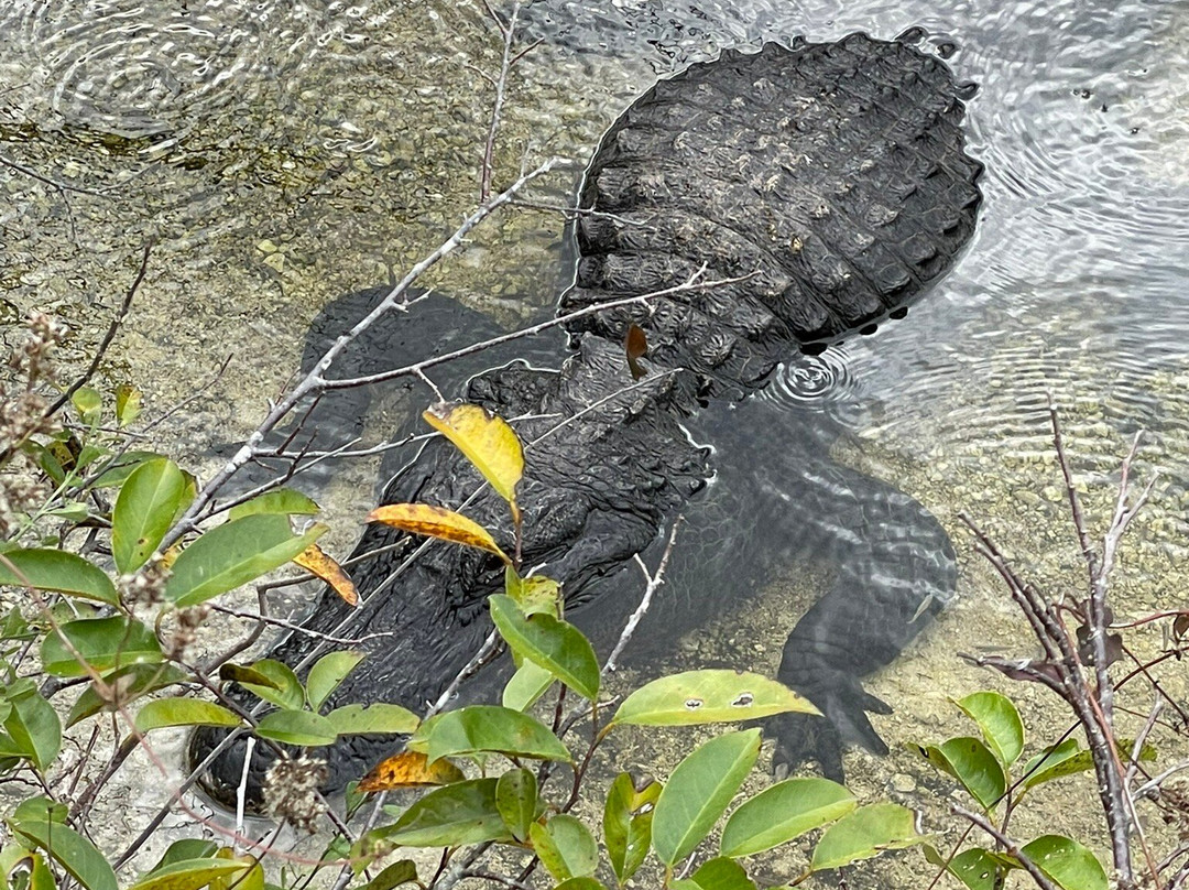Oasis Visitor Center-奥乔皮必去景点