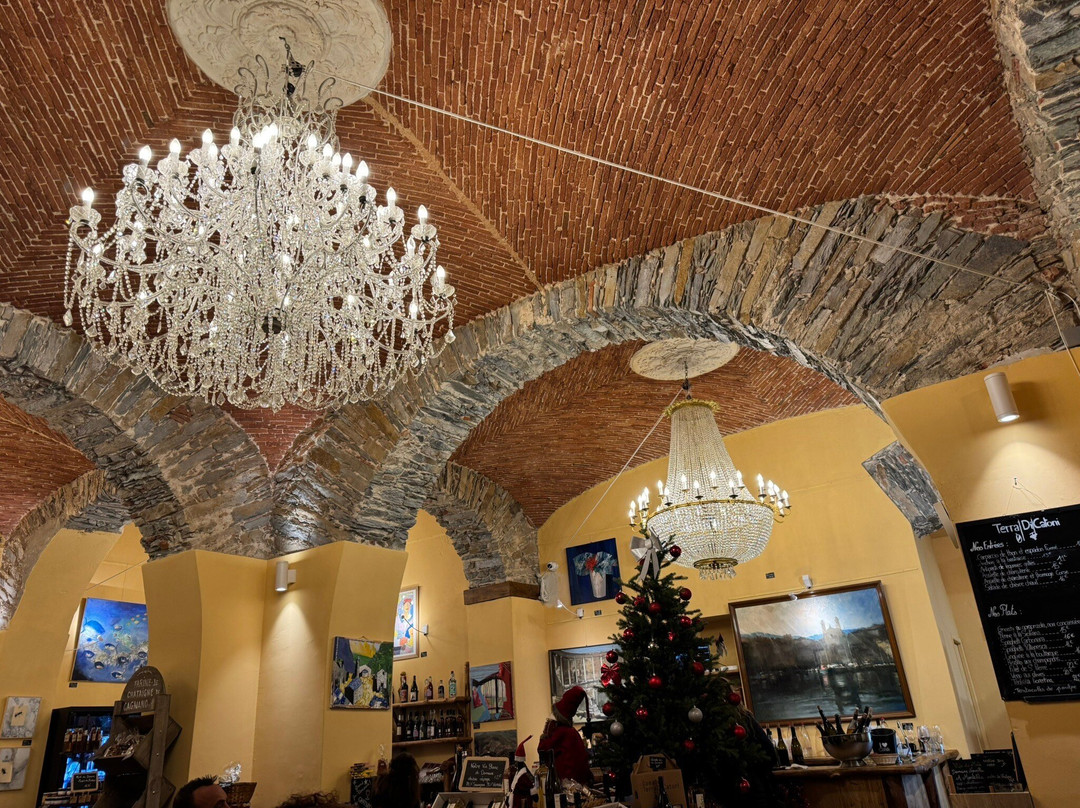 Domaine Terra di Catoni景点图片