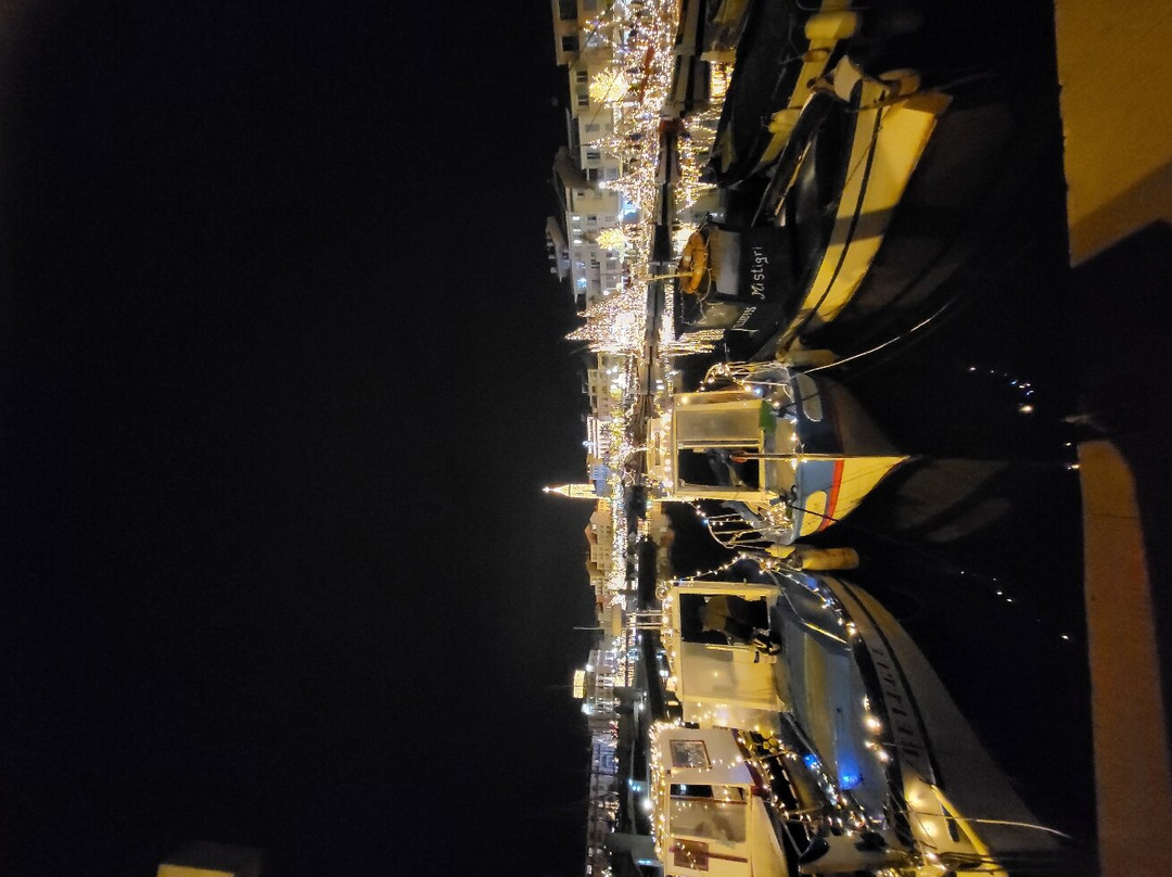 Port Sanary Sur Mer景点图片