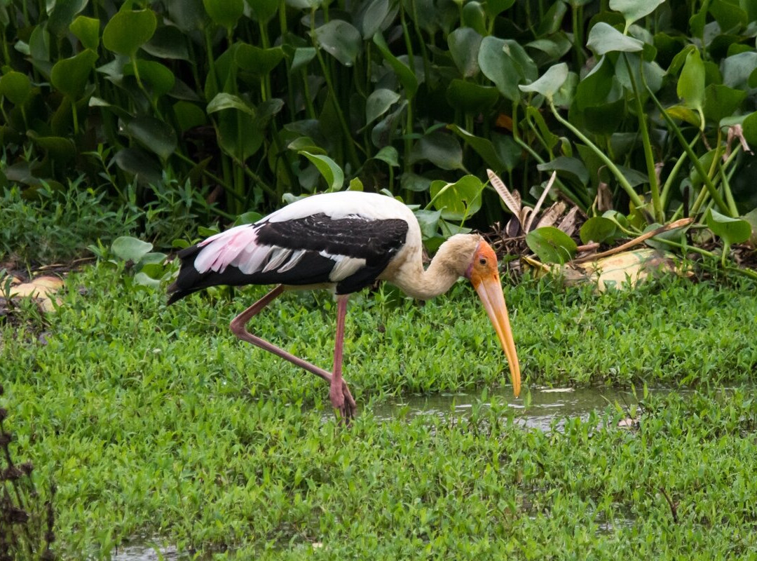 湖景小屋别墅主图