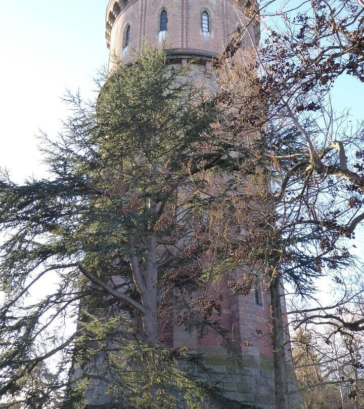 Château d'eau de Colmar-科尔马必去景点