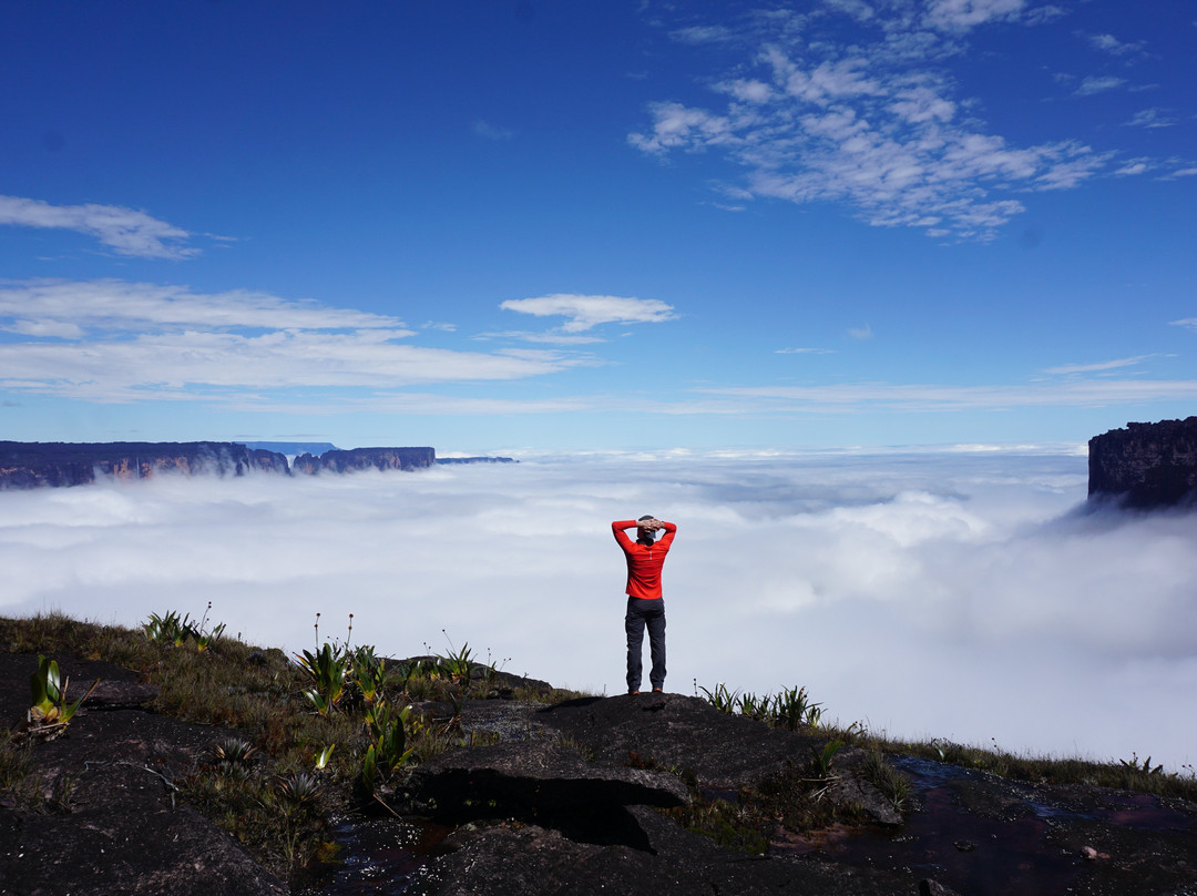 Planeta Roraima Tours景点图片