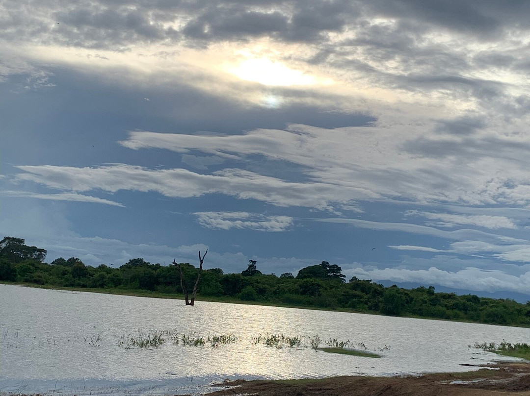 Araliya Lanka Tours景点图片