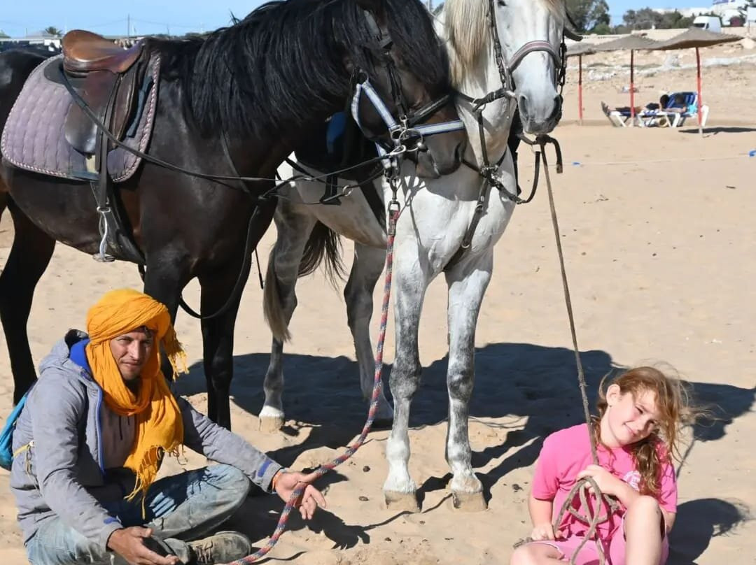 Faris Horse Riding景点图片