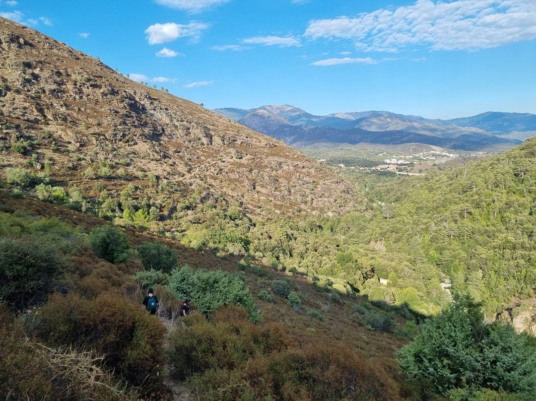Gorges du Tavignano-Corte必去景点