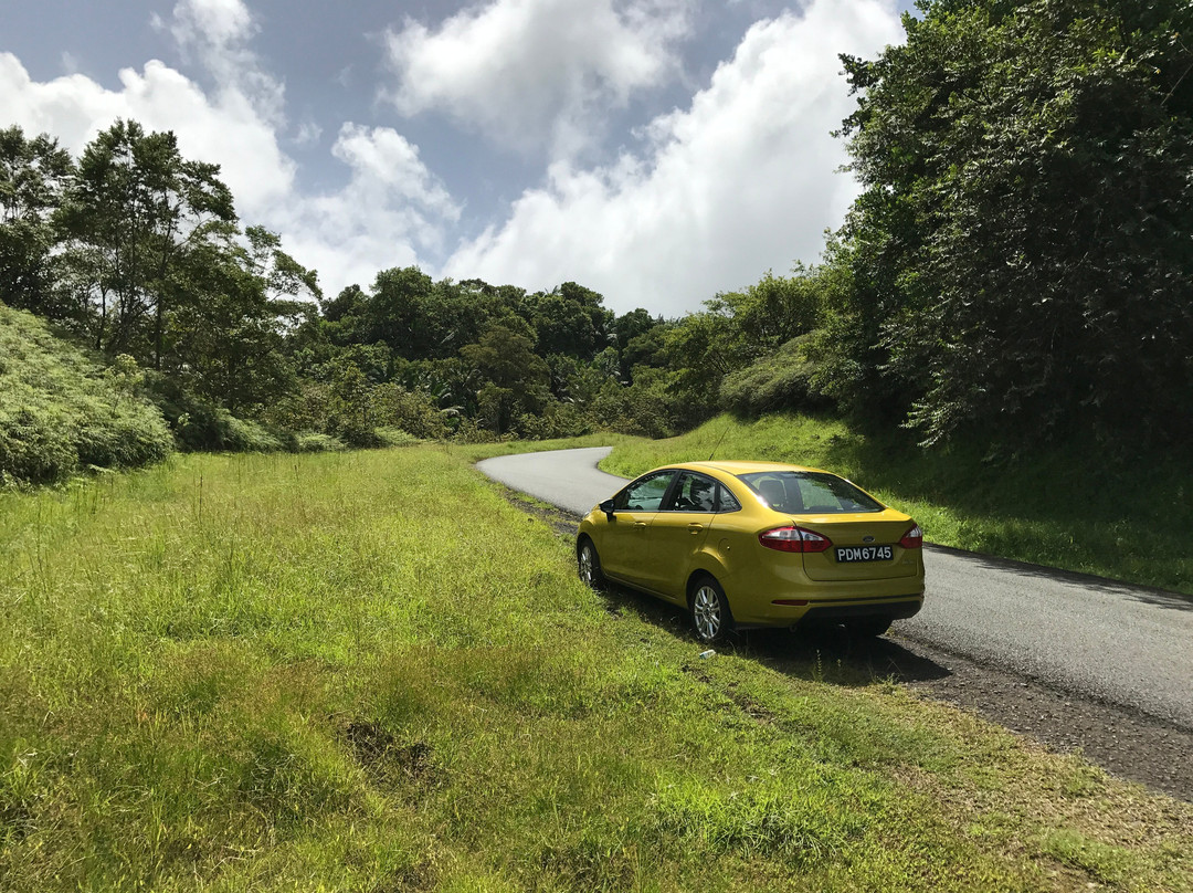 Tobago Forest Reserve-多巴哥必去景点