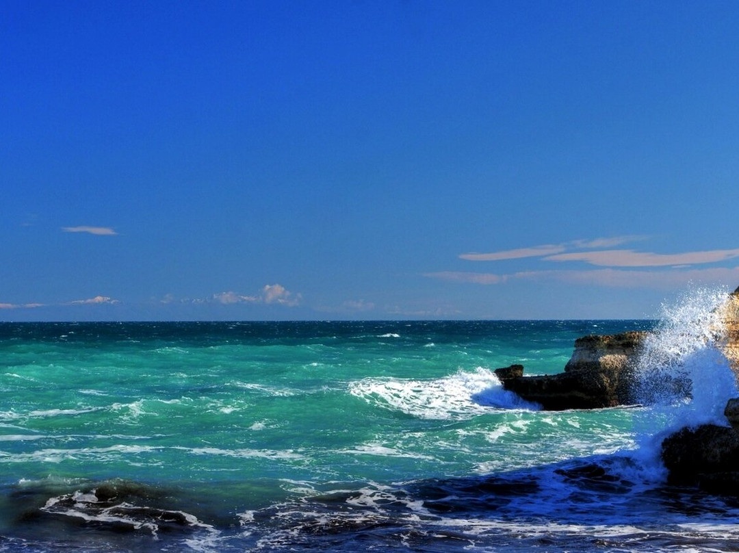 Torre Sant'Andrea景点图片