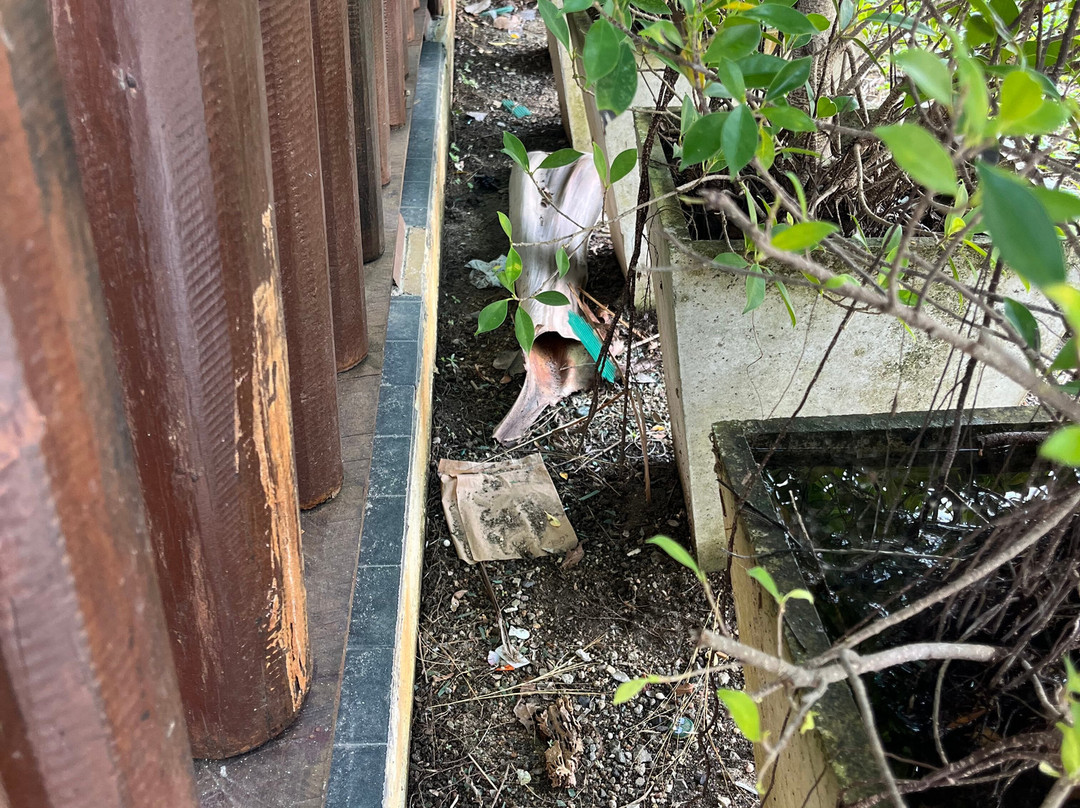 Mac's Bay Resort主图