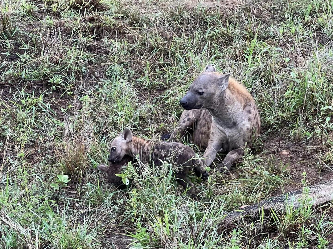 Canuel Tours And Safaris-雾观必去景点