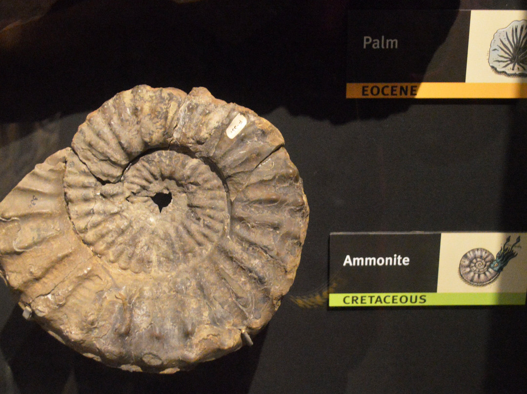 Museum of Natural and Cultural History-尤金必去景点