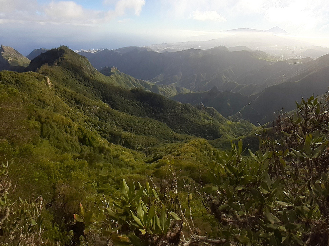Mirador Pico del Ingles-拉古纳的圣克里斯托波尔城必去景点