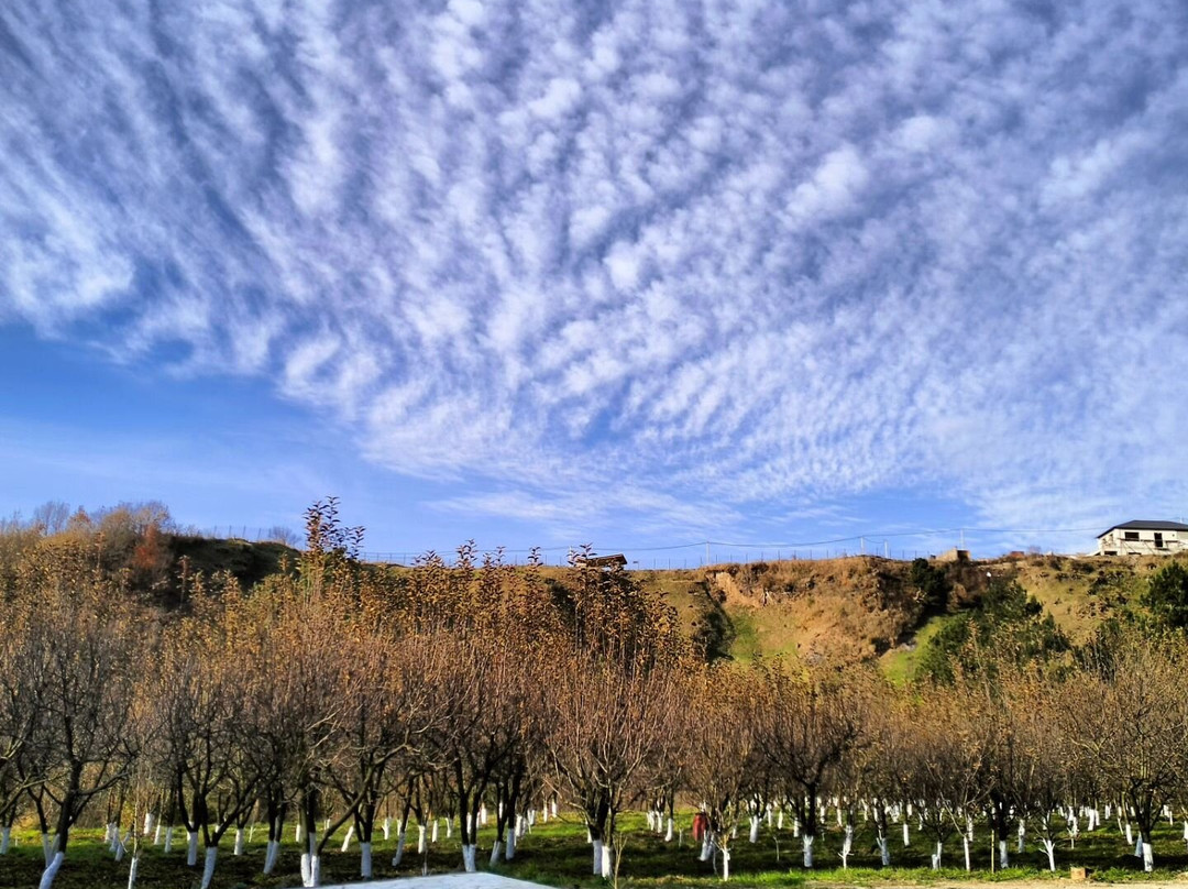 Acol Armenian Ethnic Manor-Dilijan必去景点