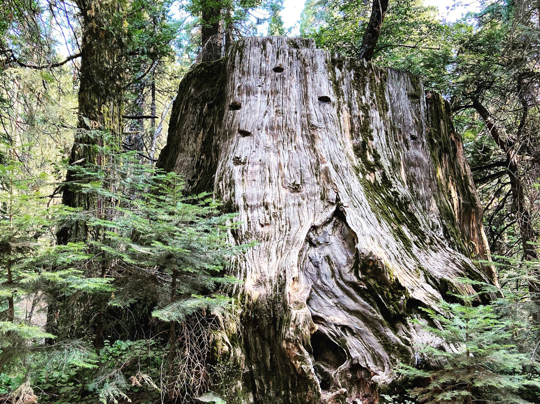 内尔德格罗夫-马德拉必去景点