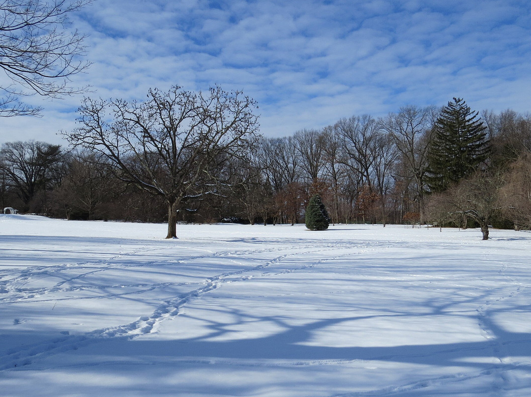 The Frelinghuysen Arboretum景点图片