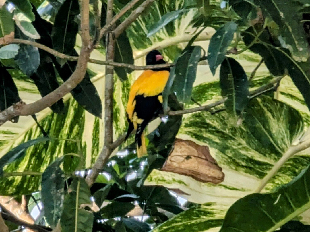 Haritha Villas & Spa主图