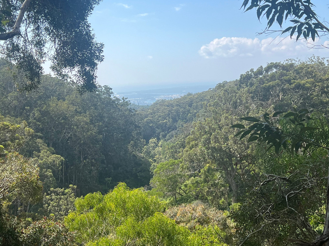 Aiea Loop Trail-阿伊亚必去景点