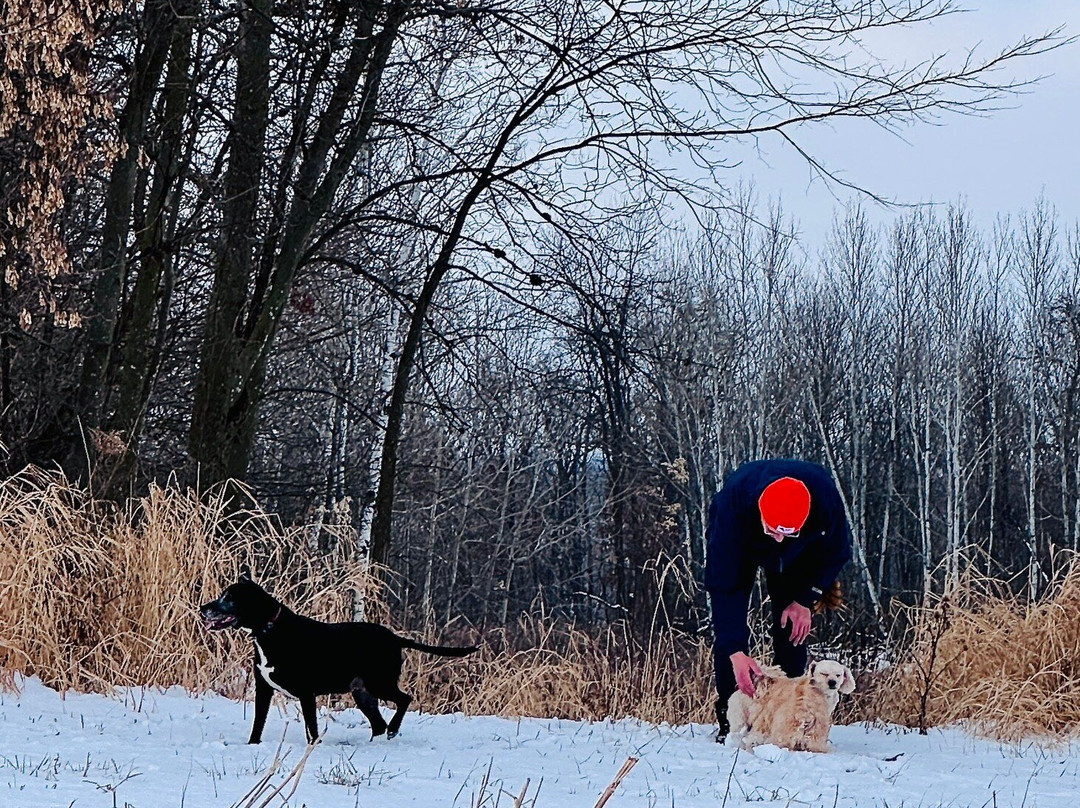 Coon Valley Veterans Memorial Park-Coon Valley必去景点