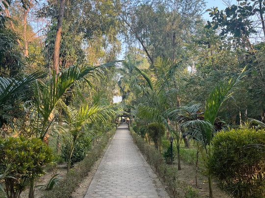 尼泊尔野生动物度假酒店主图