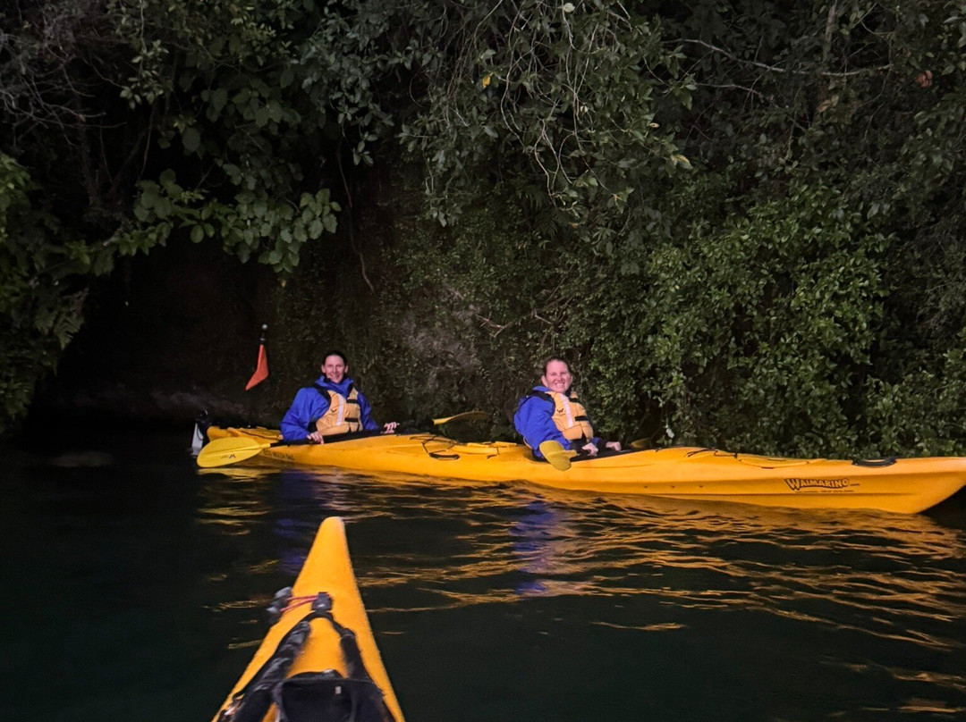 Waimarino Adventure Park景点图片