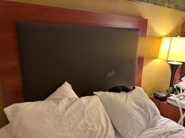 Days Inn by Wyndham Indiana PA Near IUP主图