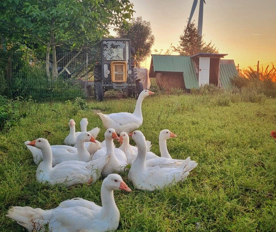 Agroturystyka Nowy Krakow主图