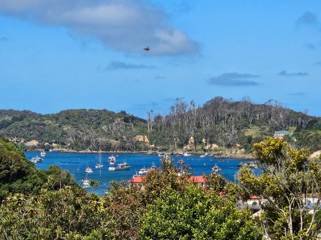 Kowhai Lane Lodge