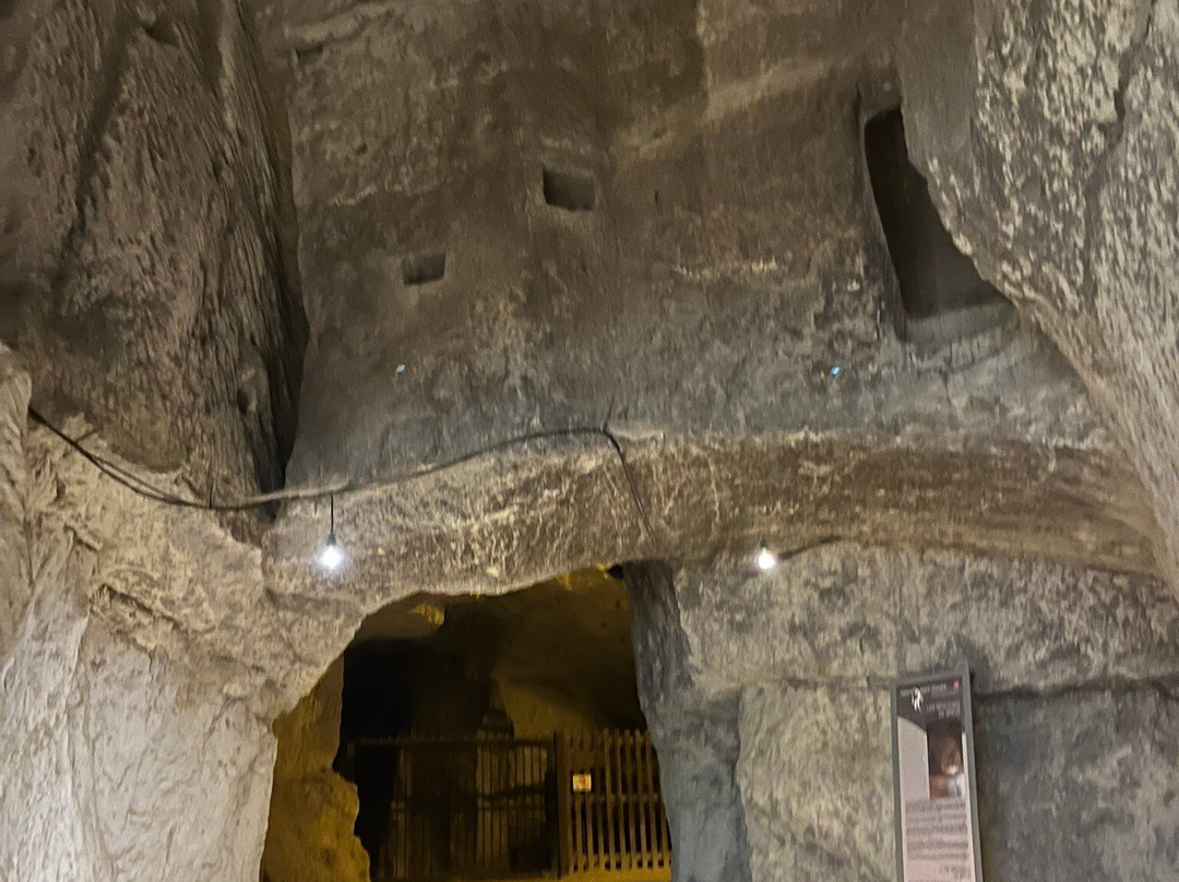 Chateau de Brézé景点图片