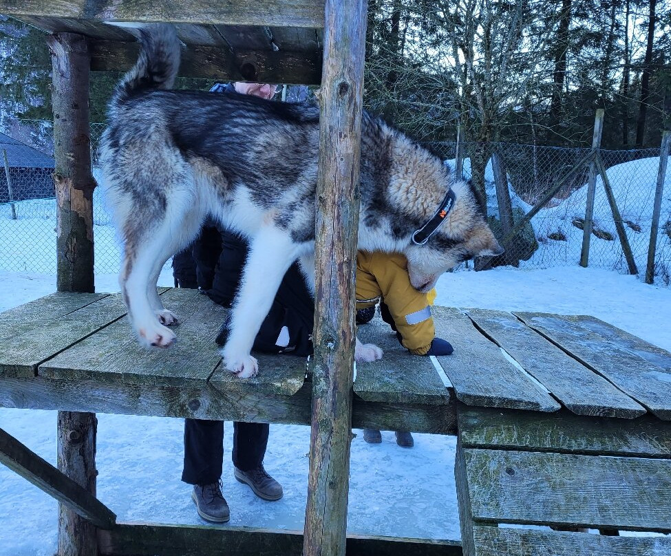 Sirdal Husky Farm景点图片
