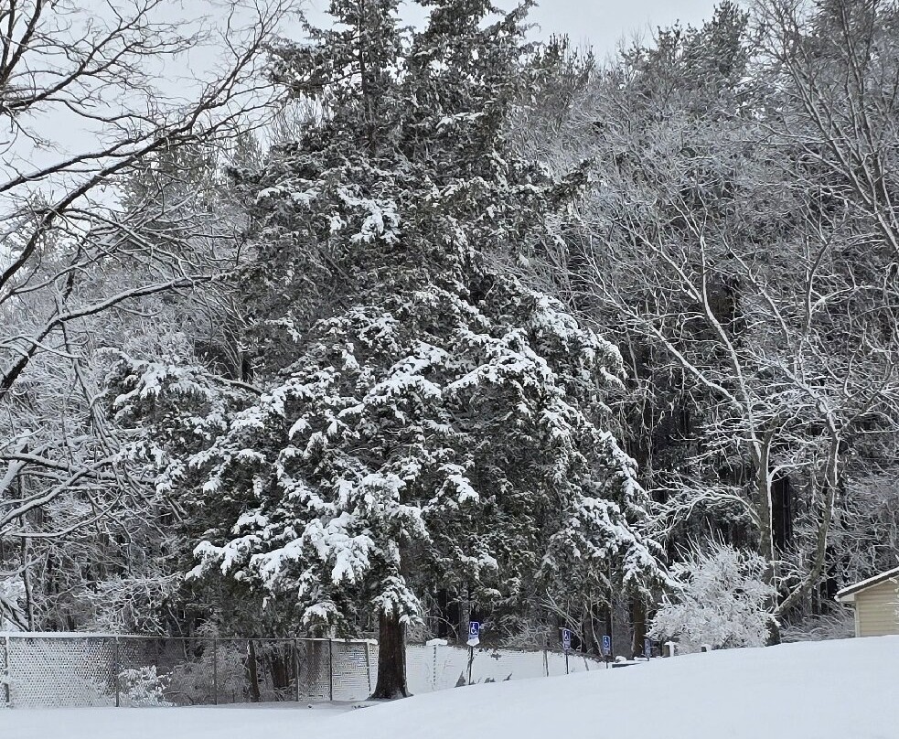 Crains Run Nature Park-Miamisburg必去景点